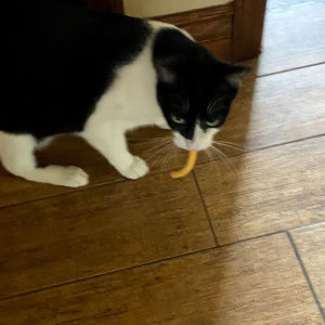 Meet your Posher, Jared